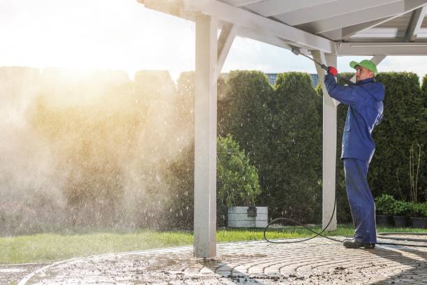 Best Sidewalk and Walkway Cleaning  in Peoria Heights, IL