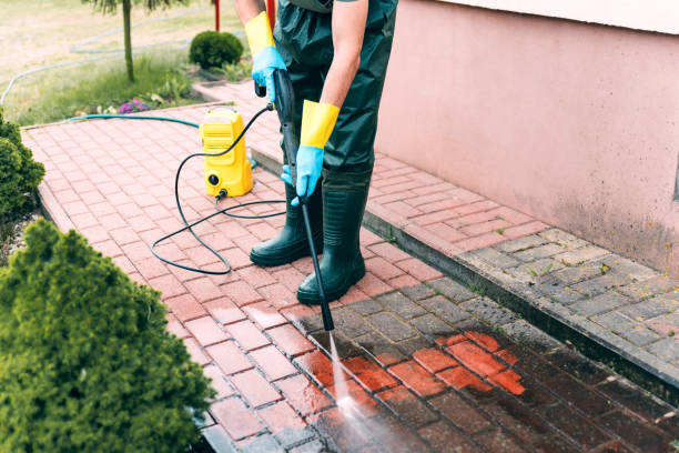 Best Animal Enclosure Cleaning  in Peoria Heights, IL