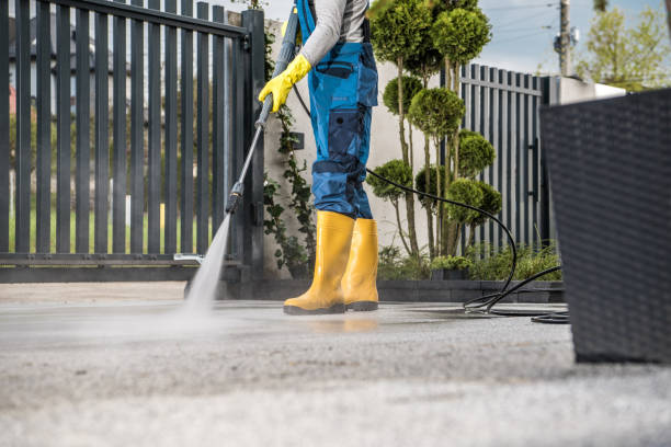 Best Rust Removal  in Peoria Heights, IL