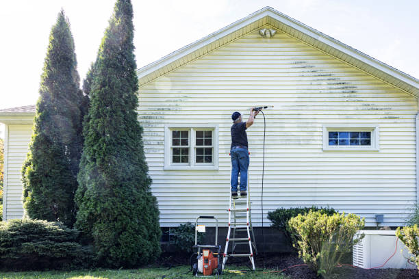 Best Solar Panel Cleaning  in Peoria Heights, IL